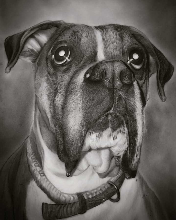 Dog Sketch Portrait